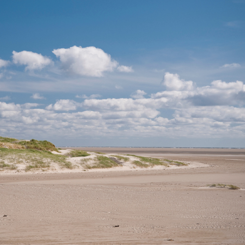 Rauszeit SPO - Umgebung in und um St. Peter-Ording 04
