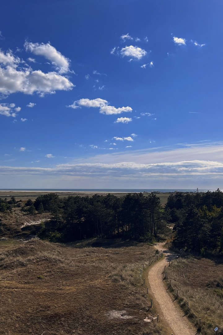 Rauszeit SPO - Ferien in St. Peter-Ording - Aussichtsplattform Maleens Knoll