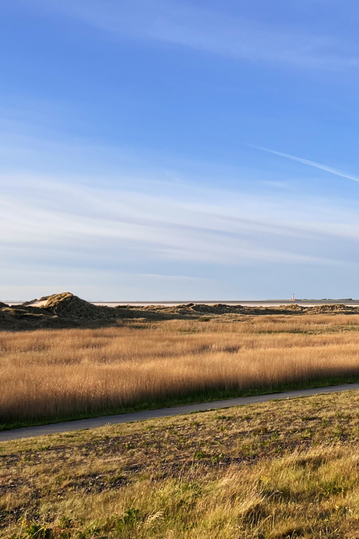 Rauszeit SPO - Ferien in St. Peter-Ording - Ordinger Strand mit Blick auf den Westerhever Leuchtturm