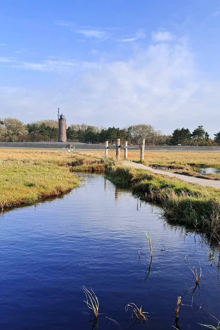 Rauszeit SPO - Ferien in St. Peter-Ording - Salzwiesen und der Böhler Leuchtturm