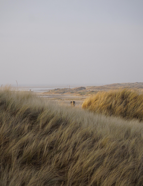 Ording