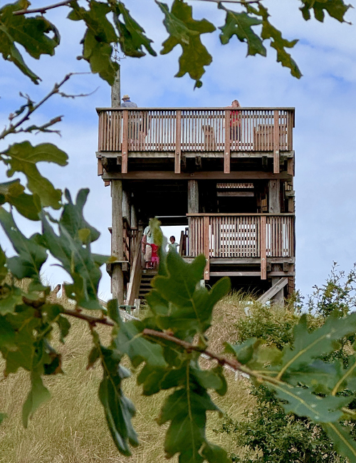 Rauszeit SPO - Ferienhaus in St. Peter-Ording - Impressionen aus SPO - 12