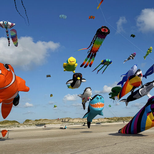 Rauszeit SPO - Ferienhaus in St. Peter-Ording - Impressionen aus SPO - 02