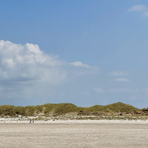 Rauszeit SPO - Ferienhaus in St. Peter-Ording - Impressionen aus SPO - 05