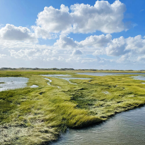 Rauszeit SPO - Ferienhaus in St. Peter-Ording - Impressionen aus SPO - 07