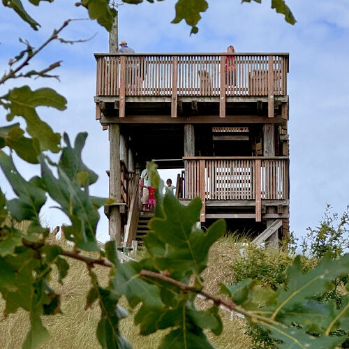 Rauszeit SPO - Ferienhaus in St. Peter-Ording - Impressionen aus SPO - 12
