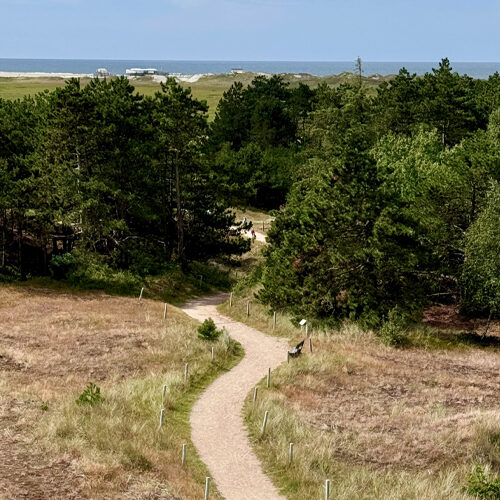 Rauszeit SPO - Ferienhaus in St. Peter-Ording - Impressionen aus SPO - 13