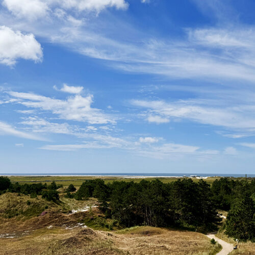Rauszeit SPO - Ferienhaus in St. Peter-Ording - Impressionen aus SPO - 14