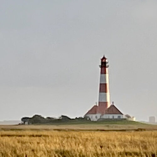Rauszeit SPO - Ferienhaus in St. Peter-Ording - Impressionen aus SPO - 17