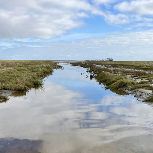 Rauszeit SPO - Ferienhaus in St. Peter-Ording - Impressionen aus SPO - 26