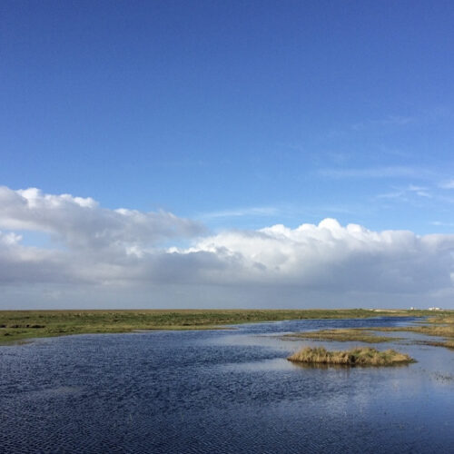 Rauszeit SPO - Ferienhaus in St. Peter-Ording - Impressionen aus SPO - 29